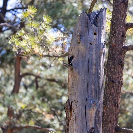 Ruidoso Lodge Cabin # 9 Bagian luar foto